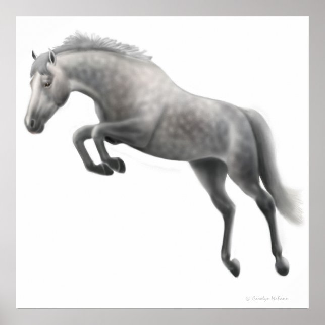 Jumping Dappled Grey Horse Poster (Front)