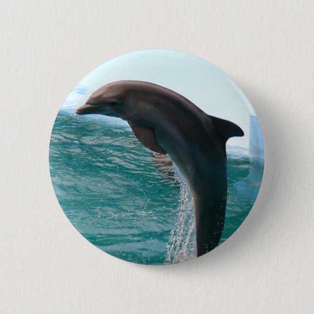 Jumping Dolphin Button (Front)