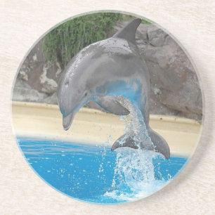 Jumping Dolphin Coaster