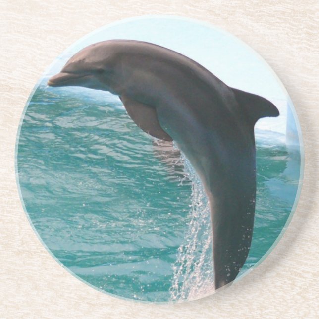Jumping Dolphin Coaster (Front)