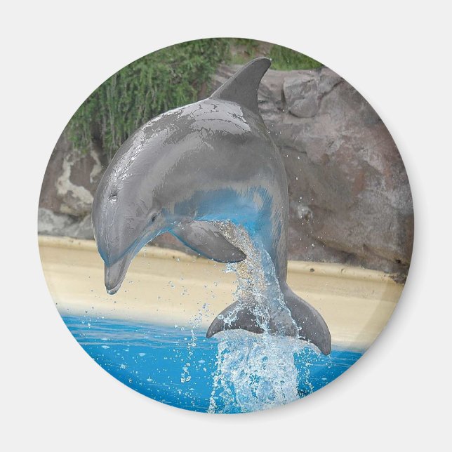 Jumping Dolphin Magnet (Front)