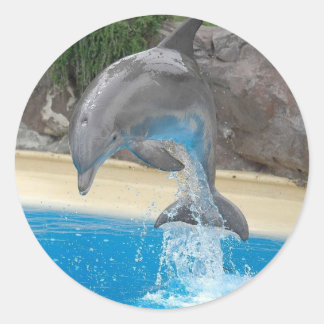 Jumping Dolphin Sticker