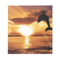 jumping dolphin with beautiful sunset over the sea