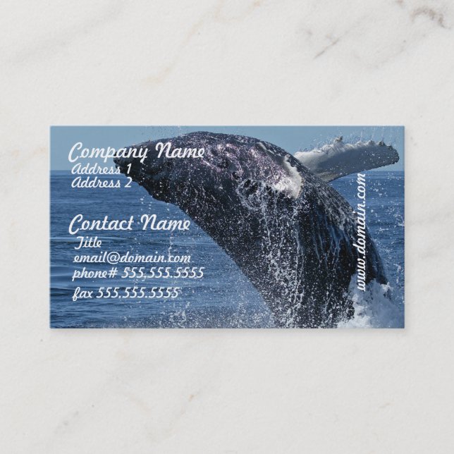 Jumping Humpback Whale Business Cards (Front)
