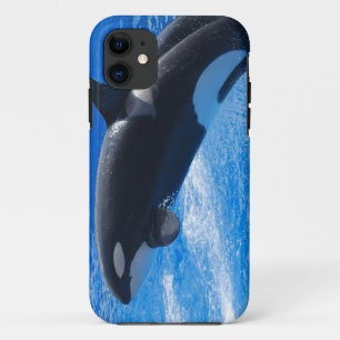 Jumping Orca Whale iPhone 11 Case