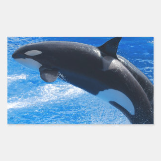 Jumping Orca Whale Rectangular Sticker