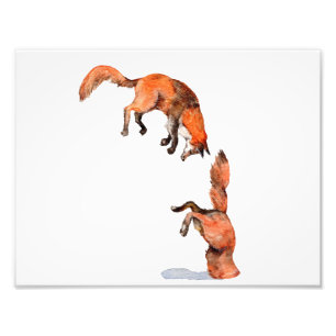 Jumping Red Fox Photo Print