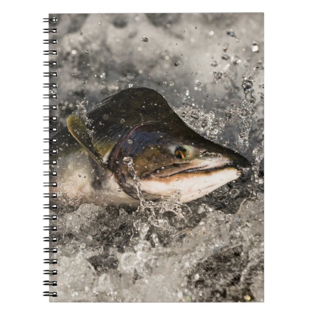 Jumping Salmon Spiral Notebook (Front)