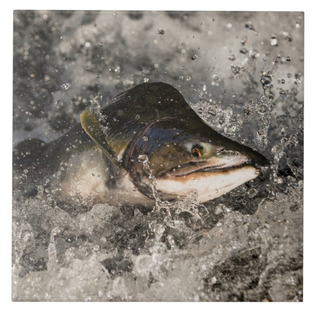 Jumping Salmon Tile (Front)