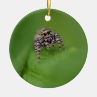 Jumping Spider Christmas Ornament
