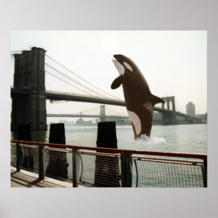 Jumping the Brooklyn Bridge Poster