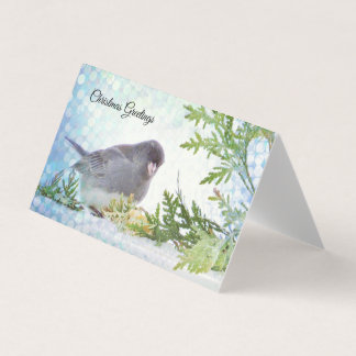 Junco - Wishing you Happiness and Joy