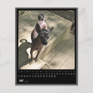 june 2012 calendar