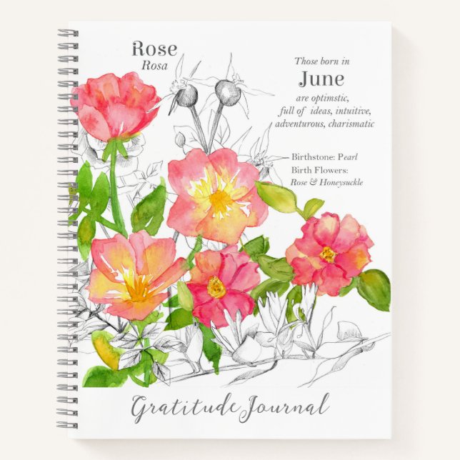 June Birthday Pink Wild Rose Gratitude Journal (Front)
