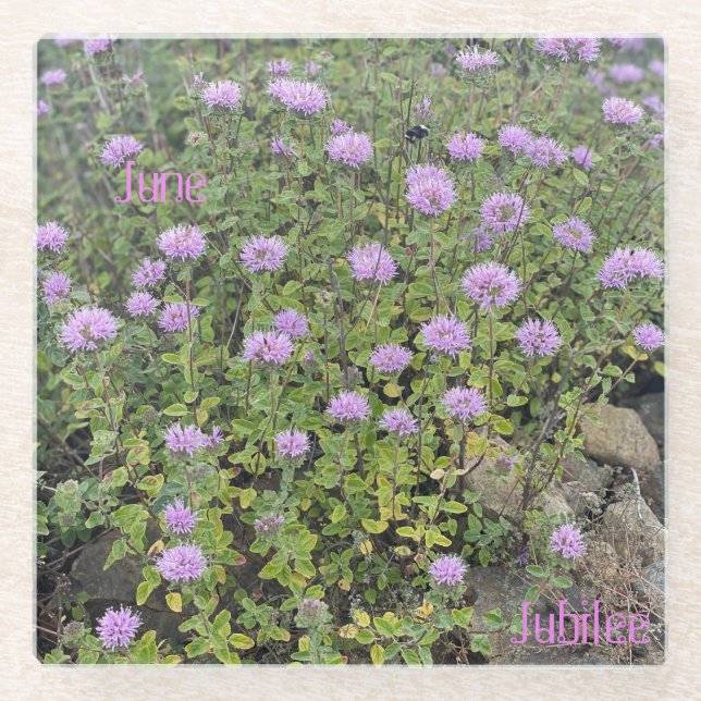 June Jubilee Glass Coaster (Front)