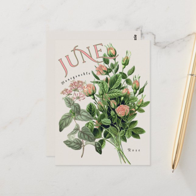 June Month Flowers Honeysuckle Rose Beige Postcard (Front/Back In Situ)