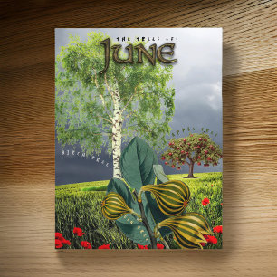 June Month Trees Fig Apple Birch Postcard