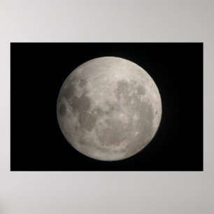 June Moon Poster