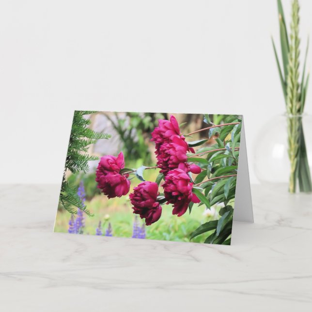 June peonies card (Front)