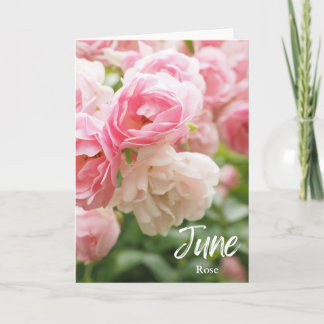 June Pink Rose Birth Month Flower Birthday Card