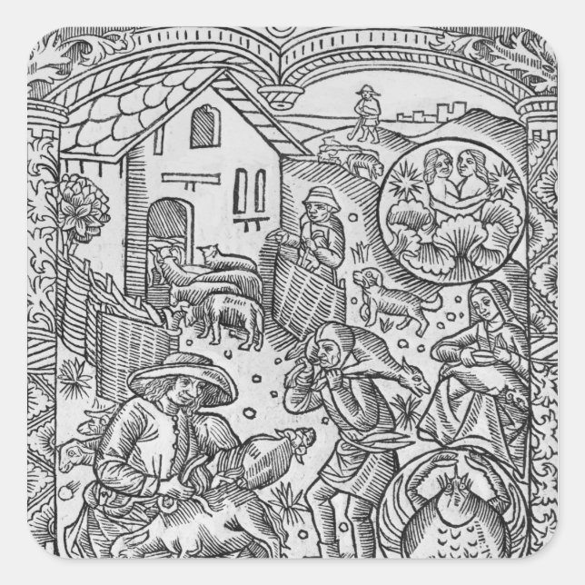 June, sheep shearing, Gemini Square Sticker (Front)