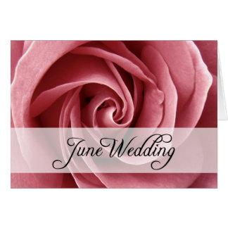 June Wedding : rose of the season :