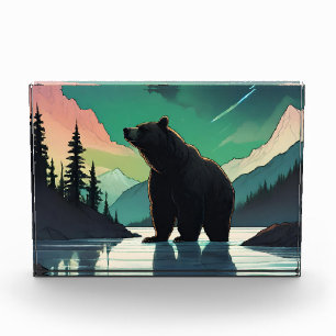 Juneau Alaska grizzly bear aurora northern lights Photo Block