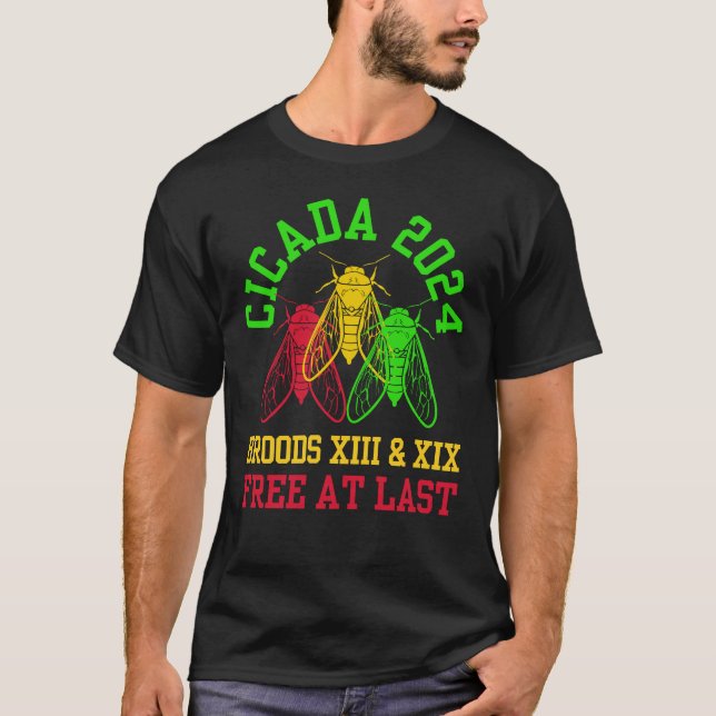 Juneteenth CICADA BROODS Free At Last T-Shirt (Front)