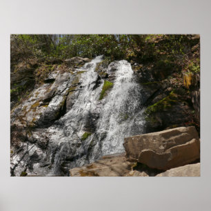 Juney Whank Falls at Smoky Mountains Poster