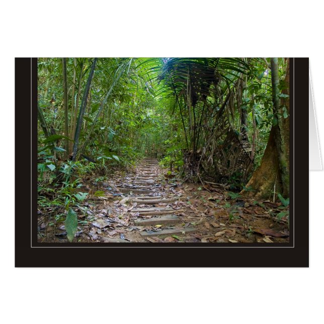 jungle (Front Horizontal)