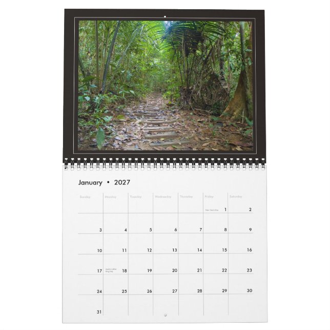 JUNGLE - 2010, beautiful landscapes ... Calendar (Jan 2027)