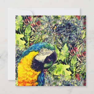 Jungle and a blue yellow macaw holiday card