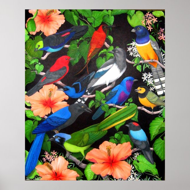 Jungle Birds of Mexico Poster (Front)