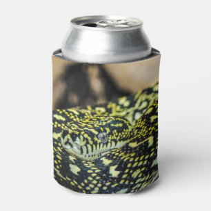 Jungle Carpet Python Can Cooler