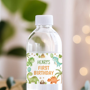 Jungle Dinosaur Boy Birthday Water Bottle Label