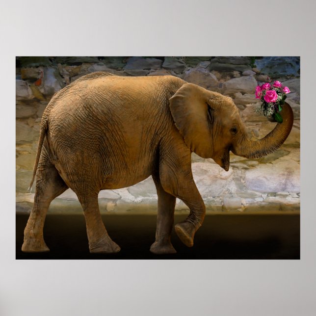 Jungle Elephant Holding Flowers Poster (Front)