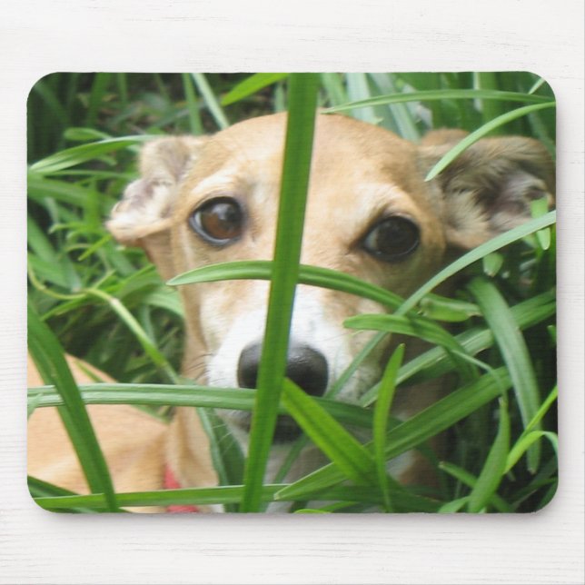 Jungle Iggy Mouse Pad (Front)