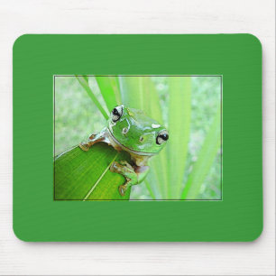 Jungle Jewels Mouse Pad