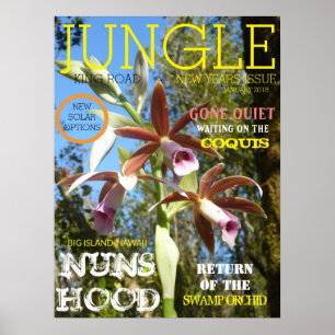 JUNGLE KING ROAD NUNS HOOD POSTER