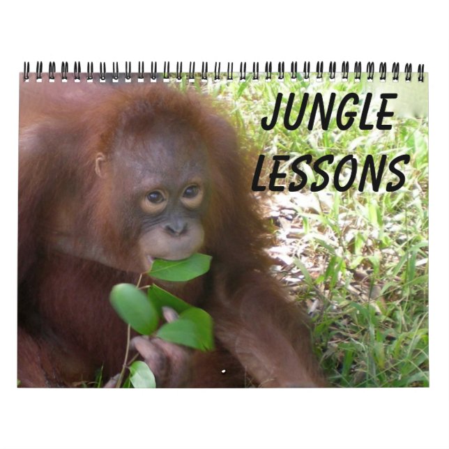 Jungle Lessons Calendar (Cover)