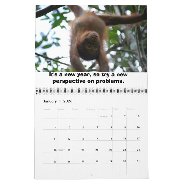 Jungle Lessons wildlife calendar (Jan 2026)
