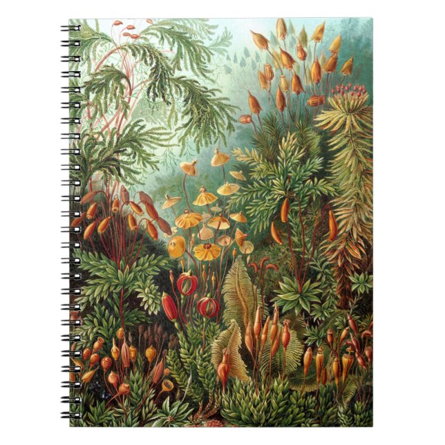 Jungle Notebook (Front)