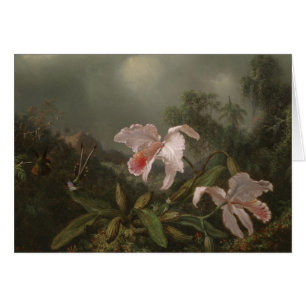 Jungle Orchids and Hummingbirds