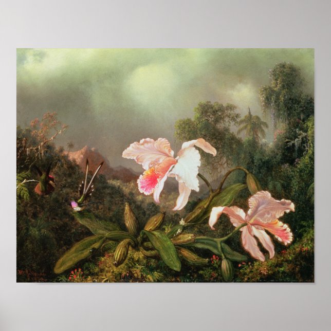 Jungle orchids and hummingbirds, 1872 poster (Front)