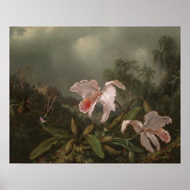 Jungle Orchids and Hummingbirds Poster (Front)