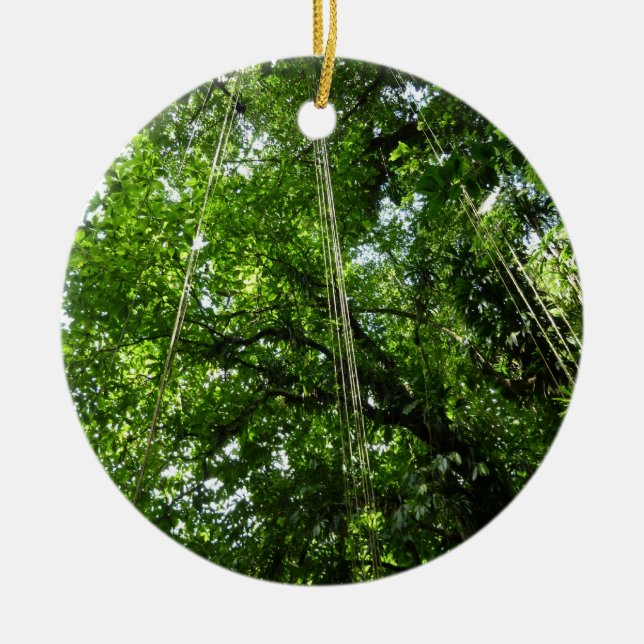 Jungle Ropes Rainforest Photography Ceramic Tree Decoration (Front)
