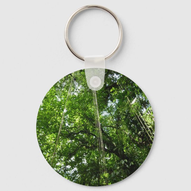 Jungle Ropes Rainforest Photography Key Ring (Front)