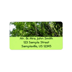 Jungle Ropes Rainforest Photography Label