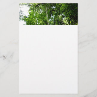 Jungle Ropes Rainforest Photography Stationery