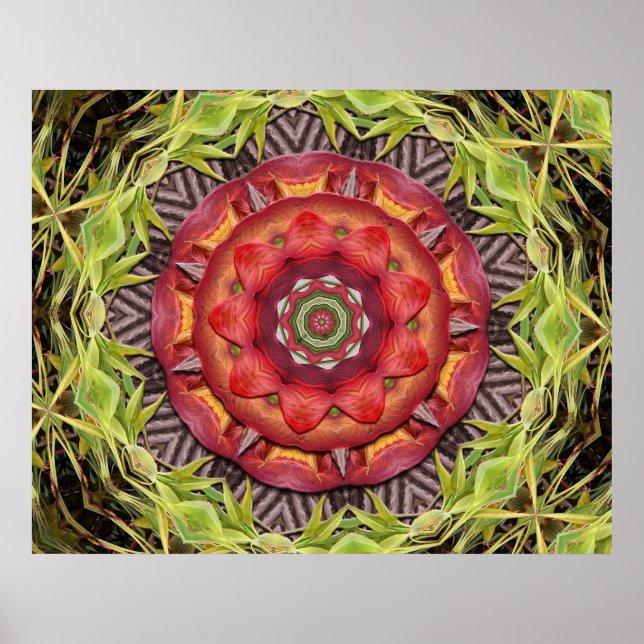 Jungle Shield Poster (Front)